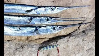 LRF / Micro Jigging Zargana Avı İçin Özel Teknik ( Hound Fish On Micro Jig )