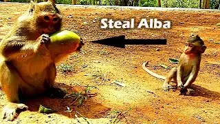 Why You Steal My Food Mummy Alba Sit Wonder Why Her Mum Do Like This |Alba Angry Anna Steal Her Food