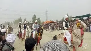 Odin Shah Kalla Sunga | Odin Shah Kalla Neza bazi video 2026 | horse Riding 🐎 | horse tents