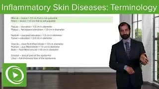 Inflammatory Skin Diseases: Terminology &ndash; Pathology | Lecturio