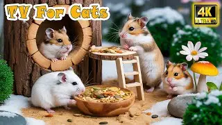 🔴 Interactive CAT TV－Anti-Anxiety Mouse Video for Cats to Watch When Home Alone 😸 Cat Entertainment