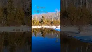 Winter Reflections #shorts