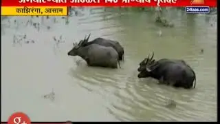 Assam Floods Over 200 Animals Died In Kaziranga National Park