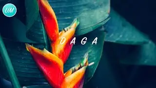 &ldquo;Daga&rdquo; Afro swing Instrumental 2020 | Mabel x Not3s x Koffee Type Beat | UM