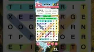 Level 1841 - Level 1850 Walkthrough - Word Search Journey