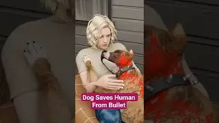 Dog Saves Human From Bullet #shorts #dog #shortvideo