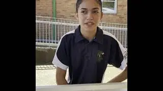 Studio School