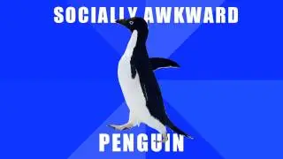 Socially Awkward Penguin