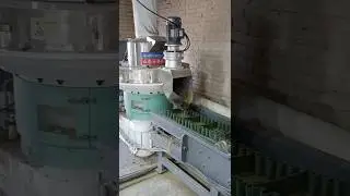 1-1.5t/h grass/straw pellet production line #biomass #pelletpress #grass #pelletizing