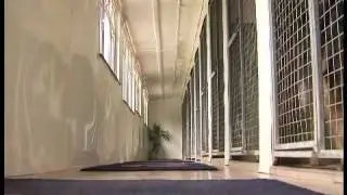 Kennels Ashford - Haven Kennels & Cattery Ashford