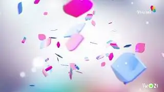 HTVC Phụ Nữ || GTCT từ 06h00 đến 12h00 ng&agrave;y 19/01/2026, ident k&ecirc;nh (từ 2017)