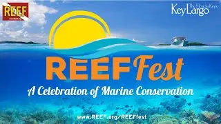 REEF Fest 2023 Seminars: 