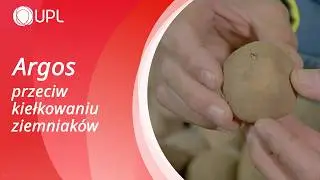 Argos przeciw kiełkowaniu ziemniak&oacute;w - aplikacja w przechowalni