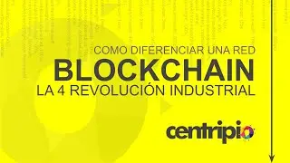 Como diferenciar una red Blockchain?