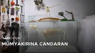 Fîçer - Mûmyakirina Candaran | فیچەر- مۆمیاکرنا گیانەوەران