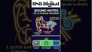 Class 8 Science | Chapter 13 | Sound #cbseclass8 #ncertscience #scienceshorts #class8science #cbse