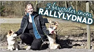 TÄVLING! & visar våra 5 FAVORITÖVNINGAR från Rallylydnad