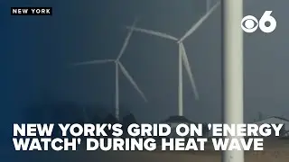 New York's grid operator issues 