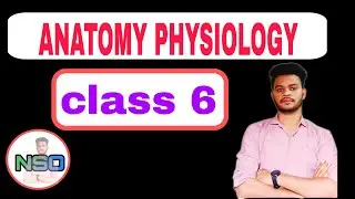 Class 6 | Anatomy & Physiology | Blood Supply (Part 2) | Live Nursing Lecture | Dr. Suresh