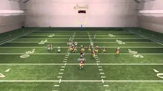 Madden 15 Tips- Run Defense