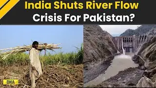 India Pakistan Relations: India Blocks Chenab River Flow, Food Production In Pakistan Threatened