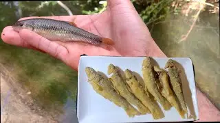 Лови и готовь мусорную рыбу. Хороши ли голавли из ручья?