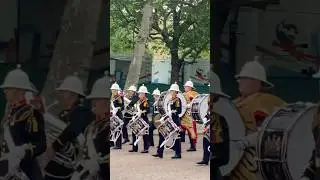 #royal #royalmarines #marchingband #royalfamily #parade #london #fyp #viral