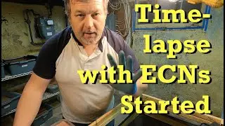 New time-lapse started with European nightcrawlers - worm farm vermicomposting