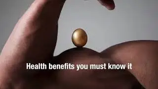 Egg Health Benefits : Health Tips : Healthy Living : Eat Eggs Daily : Protein Store