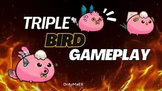 Axie classic triple bird team vs meta teams. Silence whisper level 2 is super strong