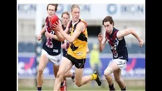 Hayden Young Highlights | Draft Prospect | 2019 | AFL