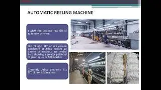Sericuture Soil to Silk activities under one roof district Jalna.