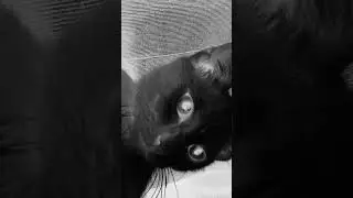 #horror #ghost #horrortok #music #horrorstories #newmusic #newsong #singer #singersongwrite