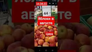 Яблоки в августе. Цена.