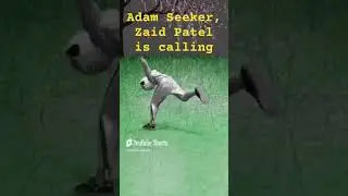 Adam Seeker, Zaid Patel is calling #abuzarresponds #adamseekerurdu