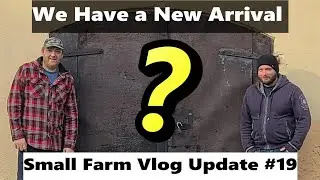 New Arrival on the Small Farm Homestead - Farm Vlog 19