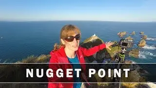 A Memorable Moment at Nugget Point