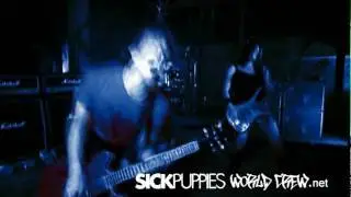 Sick Puppies World Crew