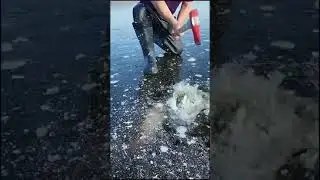 fishing in freeze river