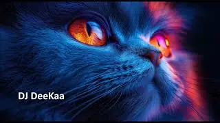 House Music & Club Sounds - HP1402.1 (1 Hour Mix - DJ DeeKaa)