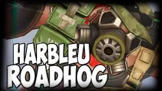 BEST ROADHOG - HARBLEU! ROADHOG GAMEPLAY SEASON 23 TOP 500