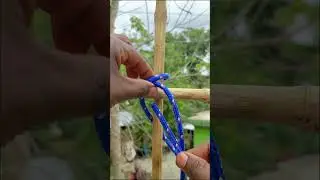 Wow Amazing,, Most popular knot