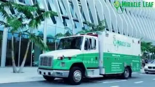 Miracle Leaf x CBD Expo (Miami)