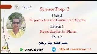 Science Prep 2   Term 2   Unit 3   Lesson 1   Reproduction in Plants   Part 3
