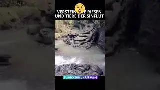 🔮 Riesen der Sintflut | Die geheimnisvollen Spuren in Stein #shortsfeed #riesen