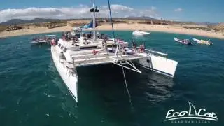 Eco Cat Promotional Video by Cabo REC Productions