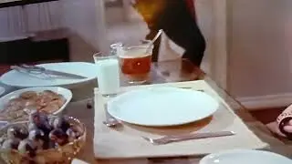 Santa Claus Burnt Turkey dinner 