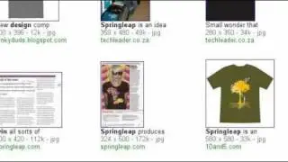 Springleap t-shirt designs