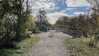 Chicago River North Branch at LaBagh Woods