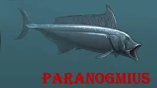 paranogmius